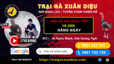 XEM lại Cặp 1 - Cặp 3 Phiên LIVE Ngày 15-05-2026